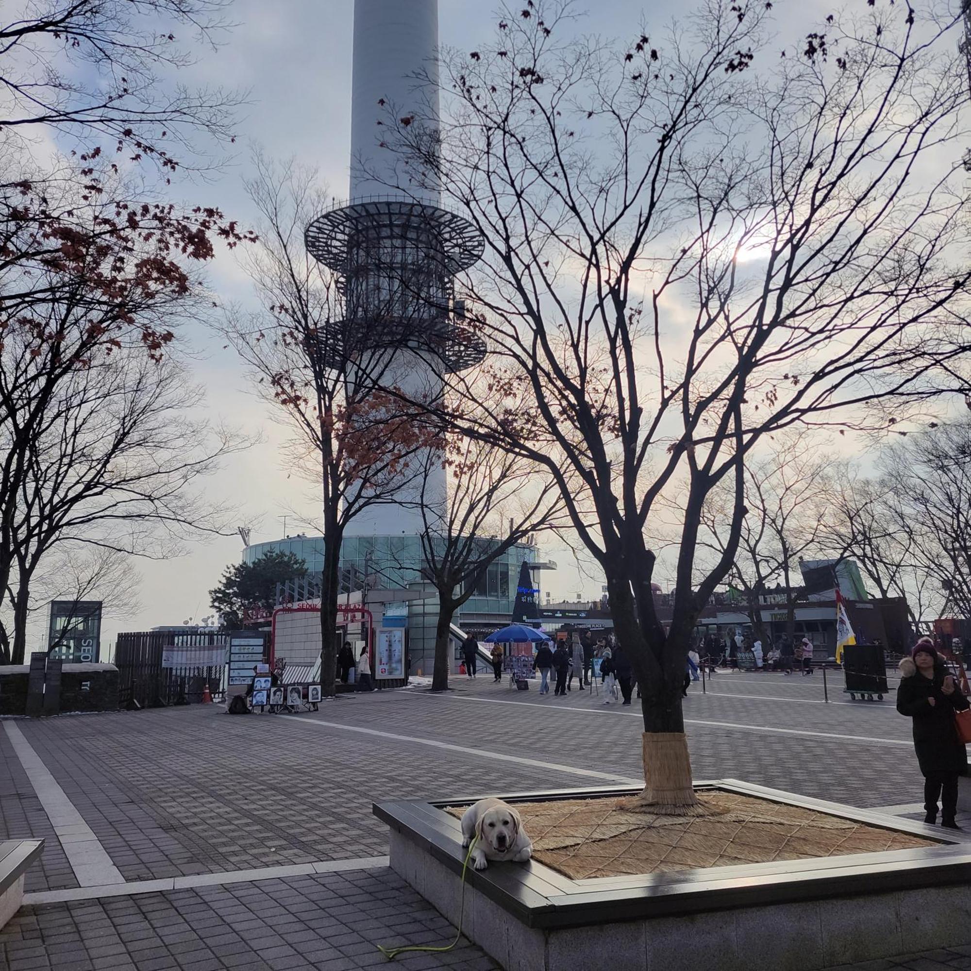 아파트 Stylish And Modern New #14