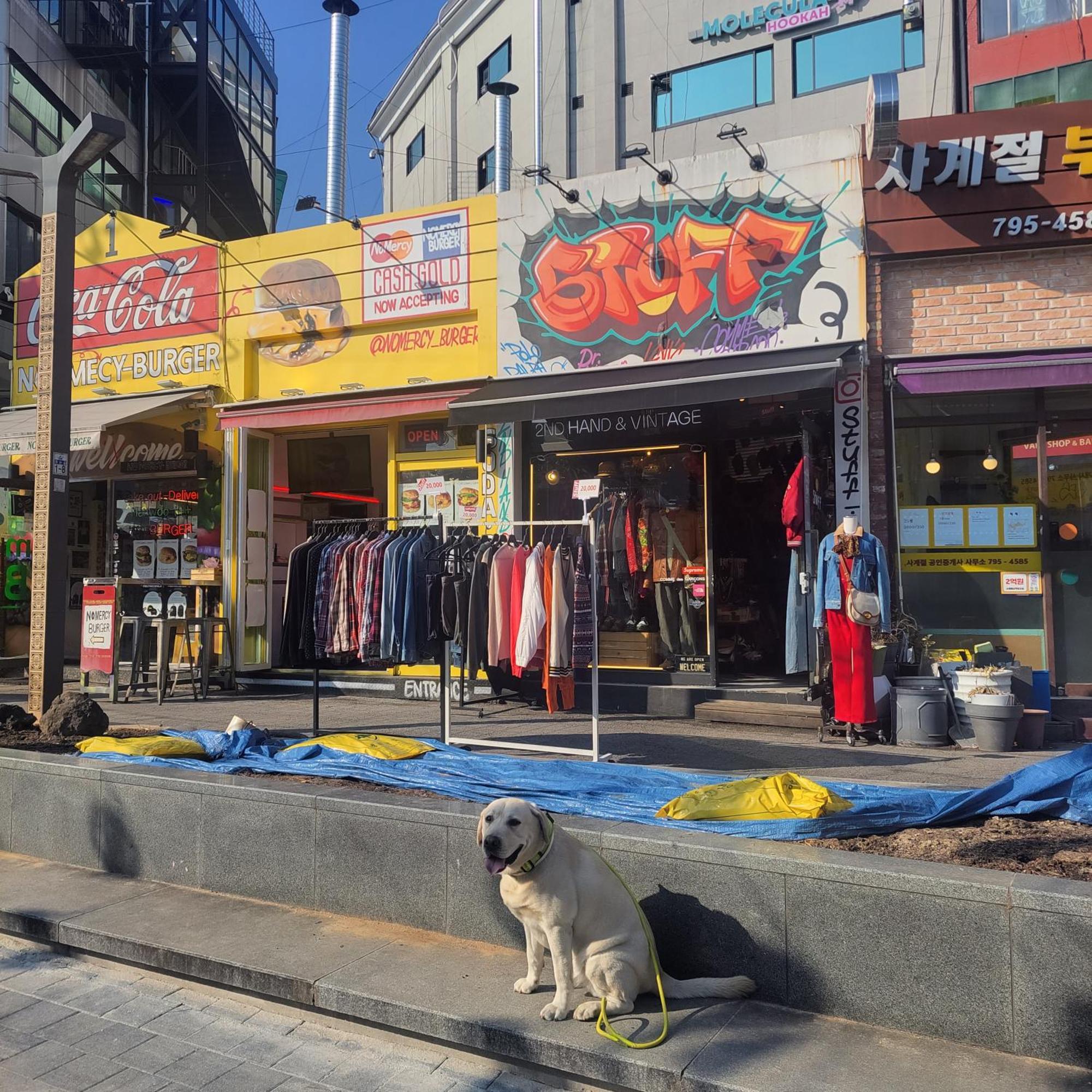Stylish And Modern New #14 아파트 서울특별시